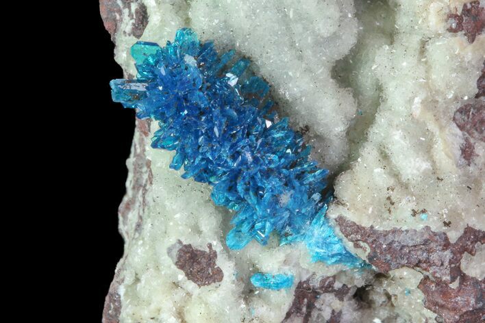 Vibrant Blue Cavansite Cluster on Stilbite - India #67807